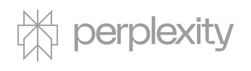 Perplexity